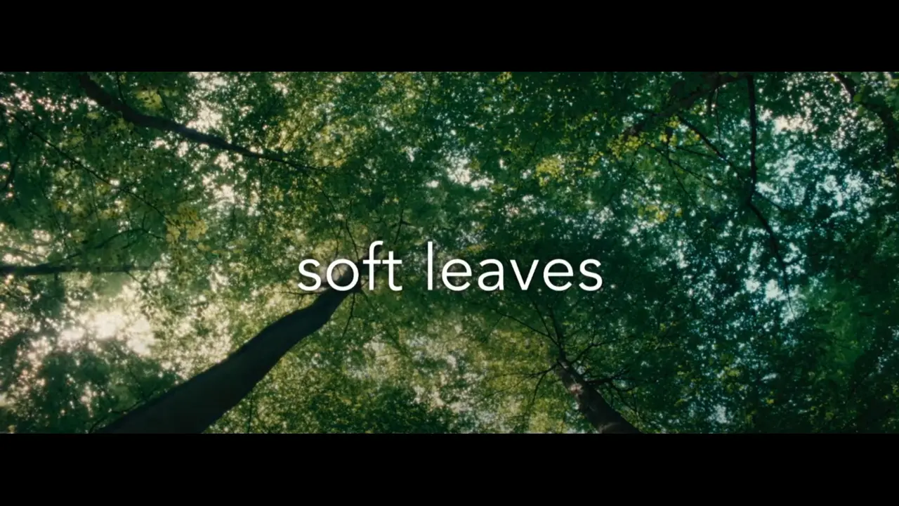 soft leaves