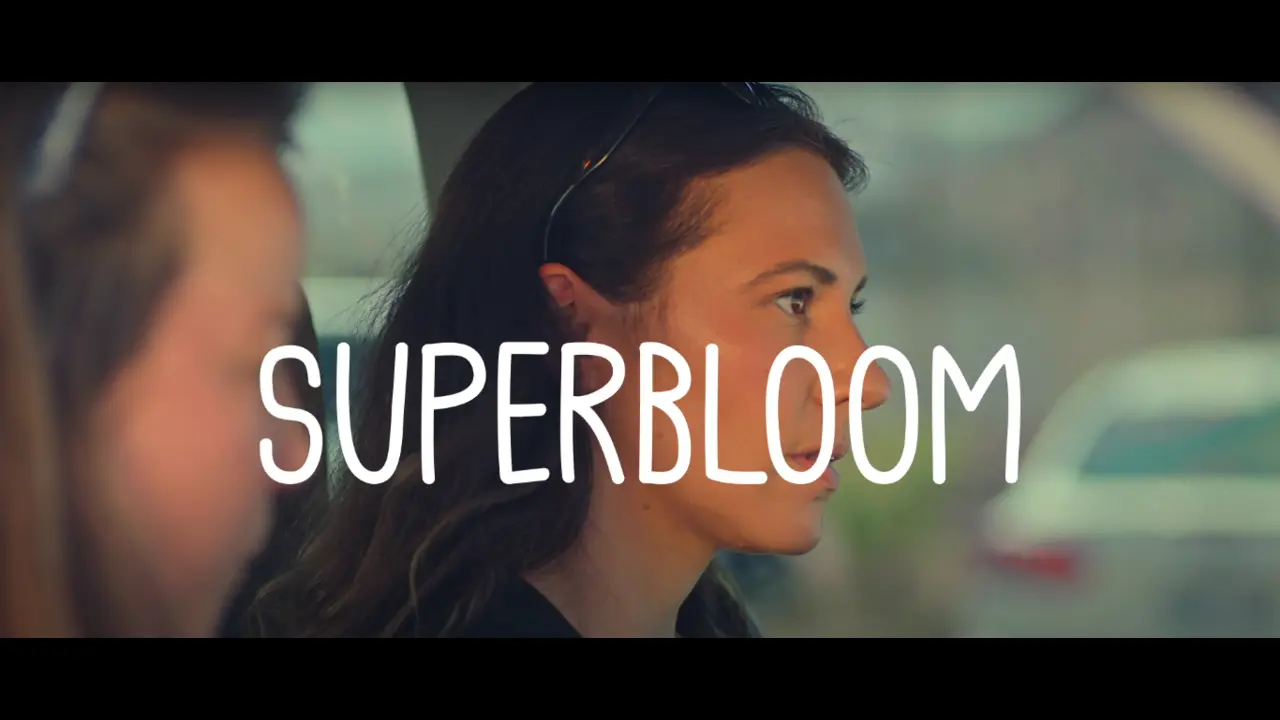 Superbloom (2025): Uma Viagem de Carro Emocionante e Profunda 1 Superbloom