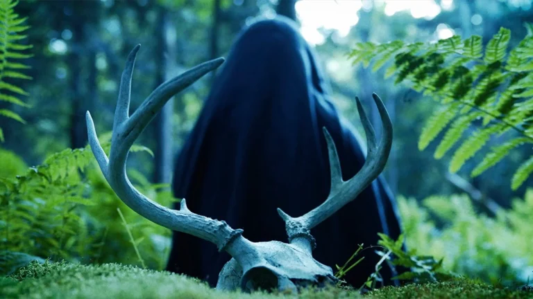 Mother of flies 2026