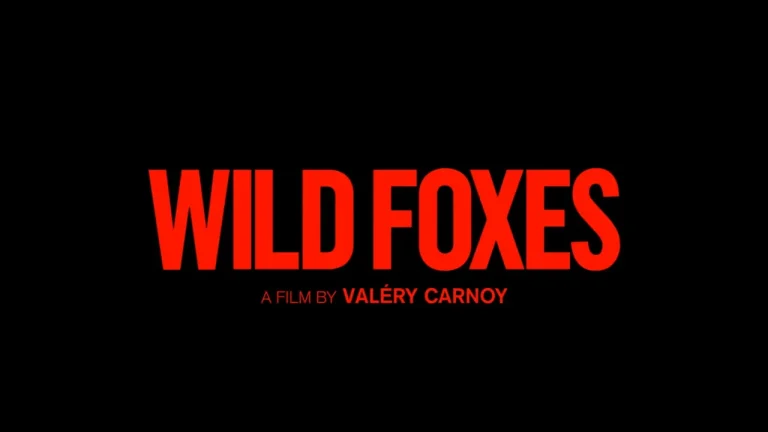 wild foxes 2026
