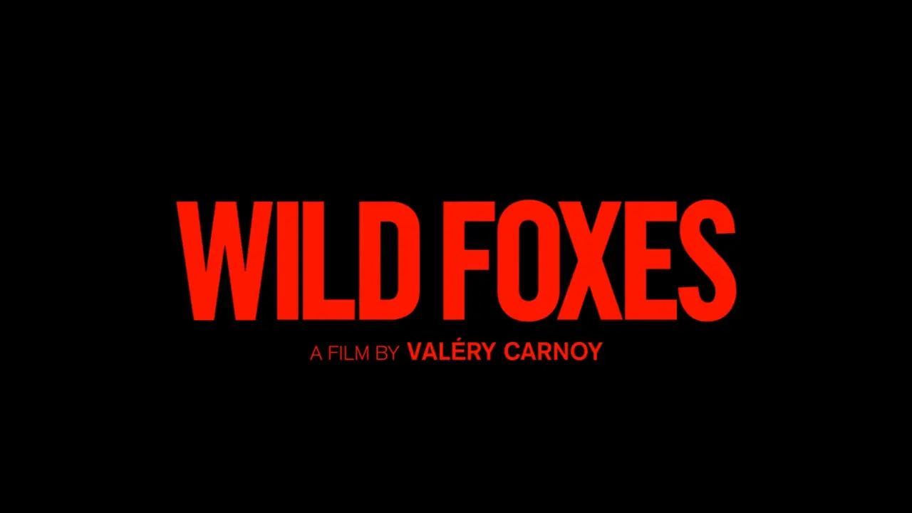 wild foxes 2026